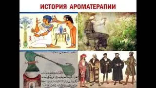 Вебинар на тему  'ЭТОТ ПРЕКРАСНЫЙ ЭФИРНЫЙ МИР  ЧАСТЬ I  ЭФИРНЫЕ МАСЛА SISEL INTERNATIONAL'