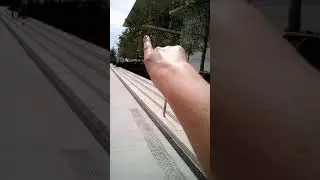 Одна большая туча