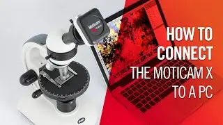 How to connect the Moticam X to a PC | by Motic Europe