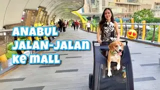 ANABUL GOES TO THE MALL!! SO MUCH FUN!