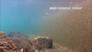 Bassday Mogul Minnow 110SP (Игра воблера)