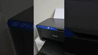 Seeing the number of prints on Epson printers 