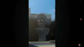8 августа 2024 г.