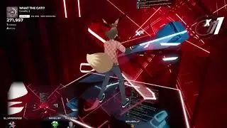 VTuber barely beats What the Cat Expert+