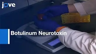 BoTest Matrix Assays to Isolate and Quantify Botulinum Neurotoxin | Protocol Preview