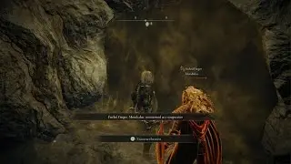 ELDEN RING - Dragonkin Soldier Epic Boss fight!!