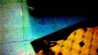 Ataque do Gato-Cachorro01.mp4