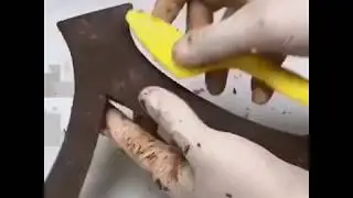Chocolate bonsai show pieces