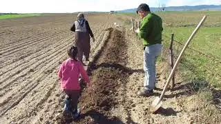 Patates dikiyoruz sohbet muhabbet dolu bir video sizlerle