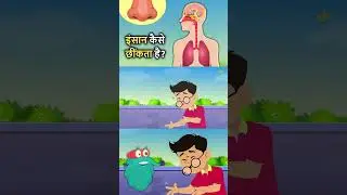 इंसान कैसे छींकता है? | How Do Humans Sneeze In Hindi #shorts