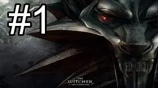 The Witcher #1 (Прибытие в Каэр Морхен)