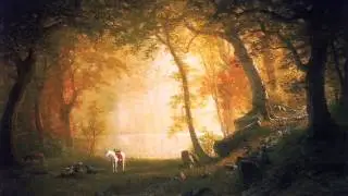Maok - pokoj
