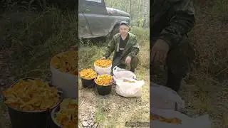 ❗как заработать в деревне❗