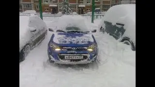 Калина в снежном плену