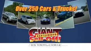 Fox Toyota of Cadillac Giant September Selloff
