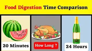 Food Digestion Time Comparison - How Long does it take to Digest These Foods ?