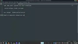 Web shell upload via race condition - solve without turbo-intruder