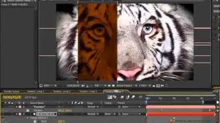 Tutorial 19 - Beautiful Video Animation Part 2