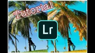 TUTORIAL : Como editar com Lightroom ( 2019 )