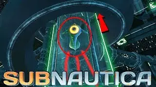 SECRET Pipe Purpose, Relic Animations, New Teleporter | SUBNAUTICA News and Updates