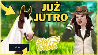 AMERICAN SADDLEBRED! JUŻ JUTRO WKRACZAJĄ NA JORVIK!