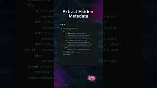 How Python Detects File Type and Extracts Hidden Metadata 🤖🧠