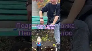 Подруга Солевика сделала сквирт