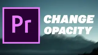 How To Change Opacity in Premiere Pro