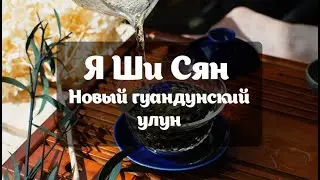 Улун Я Ши Сян. Как заварить? Как оценивать аромат и вкус? RealChinaTea.ru