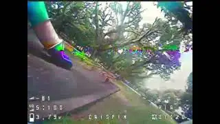Return to the MYSTICAL GARDEN