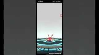 Spinarak to Ariados evolution pokemon go 