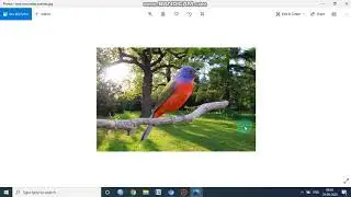 How to change background of the image