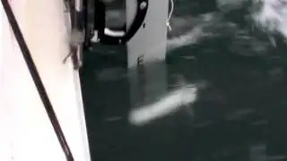 Watt & Sea Hydrogenerator