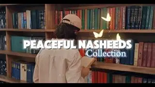 Peacful Nasheed Collection 🎧🦋 || Beautiful Collection Ever 🎧🪽✨ || Zahara Typist