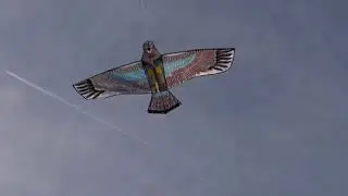 ПТИЦА СЧАСТЬЯ! РОБЕРТ АЛТУХОВ.
