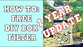 DIY Box Filter 1 Yr. Update & Upgrade - Build it, Don't Buy It!