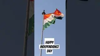 #independance day celebration#