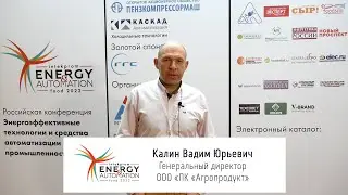 Калин Вадим Юрьевич, Генеральный директор ООО 