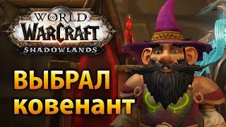 Впечатления от Shadowlands, стоит ли играть и какой ковенант выбрать?