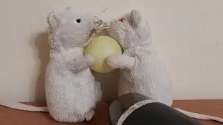 фокус с феном и шариком смотреть до конца