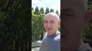 флот на дне
