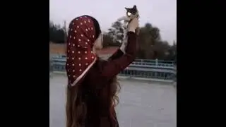 Эту песню ищет все Новая песня 2021г 🤴🌿🤴