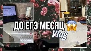 До ЕГЭ месяц 😮/ ЕГЭ 2023 / ХимБио