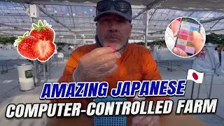 Amazing Japanese Computer-Controlled Farm | Japanese strawberry farm | State-of-the-Art Farm