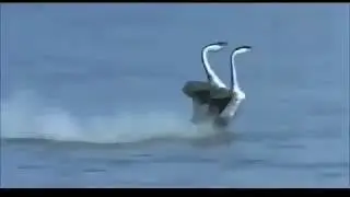 Классно,красиво!!! всем смотреть!!!!!!!!!!!!!!!!!!!!!!!!!!!!!!!!!!!!