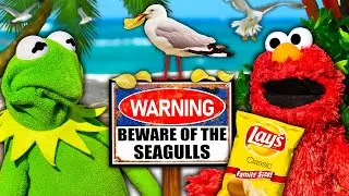 Kermit the Frog and Elmo's Beach Vacation!