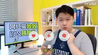 网红猫敦敦去喵星了，它患上的胰腺炎是什么、又该怎么预防？
