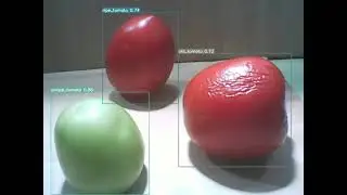 Live Webcam Capture With Yolov7