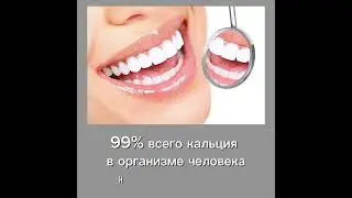 Интересные факты