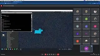 ProgCPP 2024-07-31 XPRA OpenGL